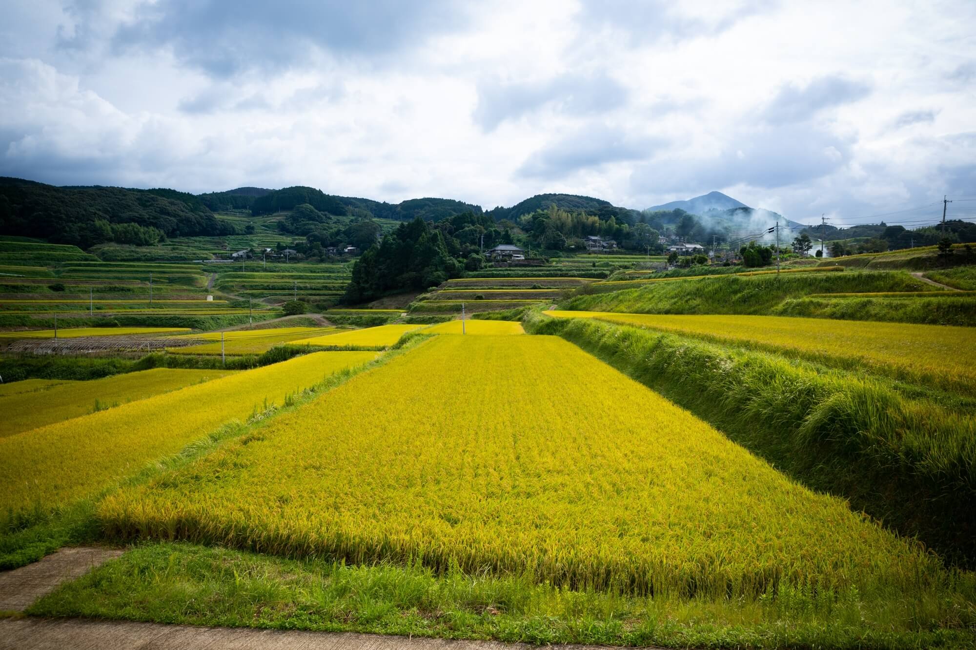 長崎県東彼杵町木場郷の棚田