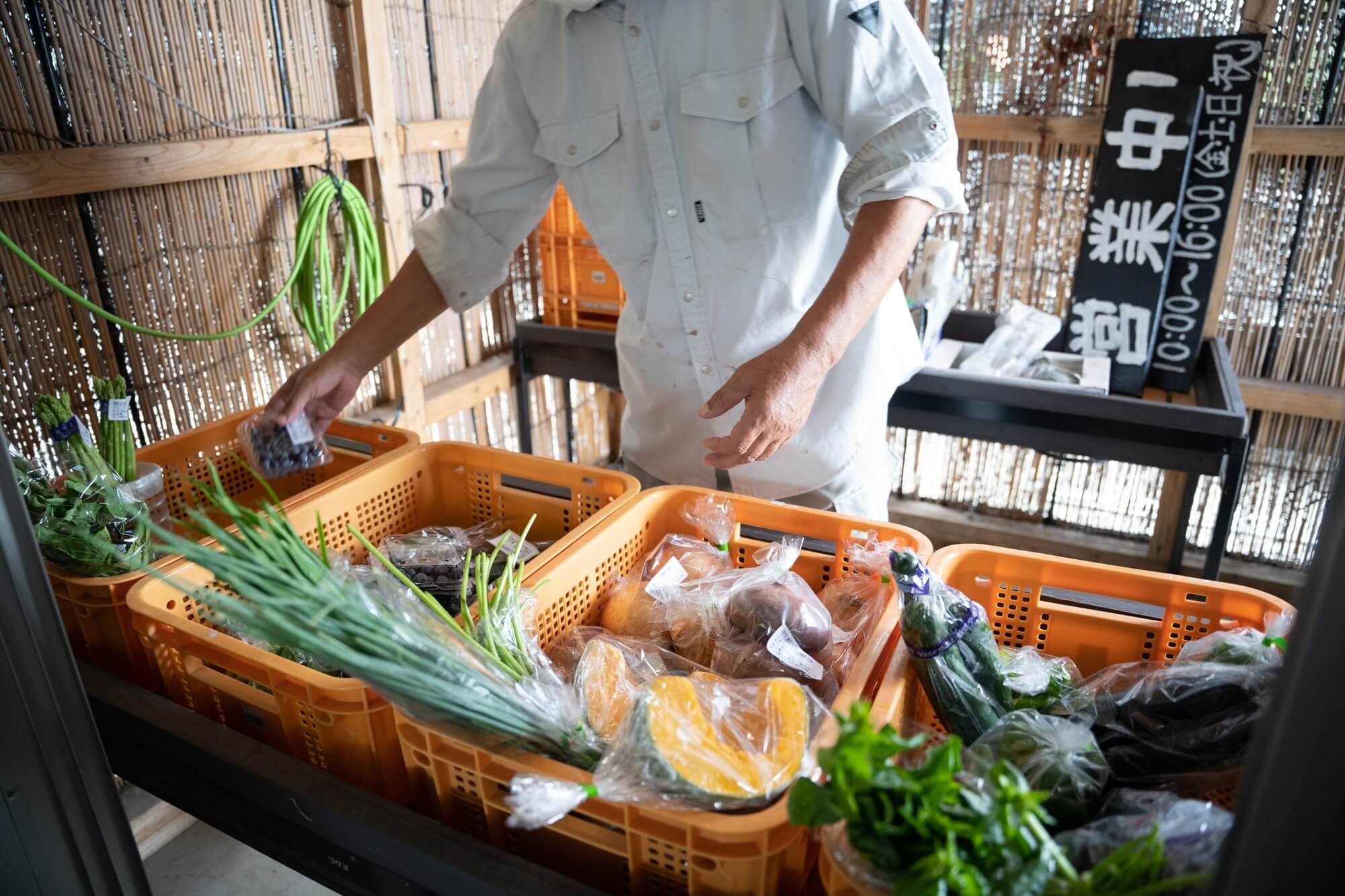 木場のむすび・朝獲れ野菜